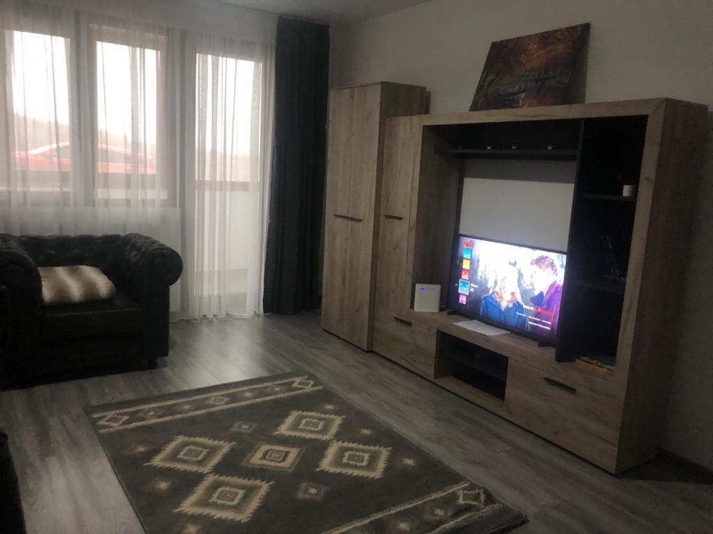 Apartment Ilinca-zgatia Piatra Neamt